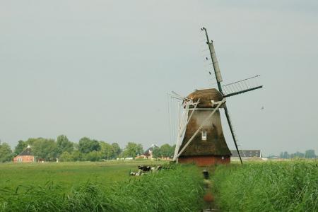Radurlaub in Holland - Windmühle
